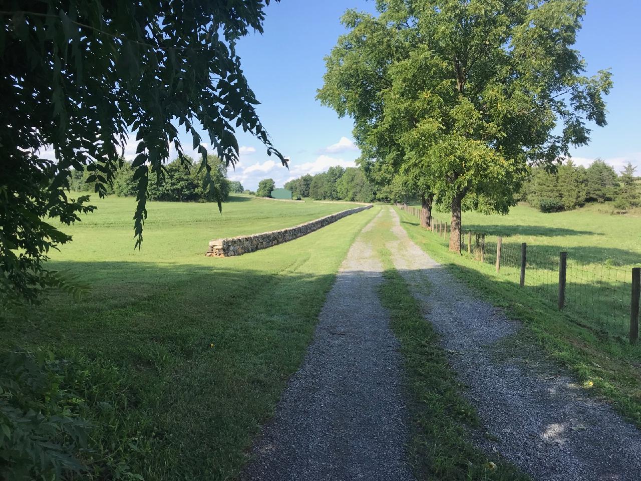 Home Cedarwood Farm Premiere Virginia Horse Retirement Farm